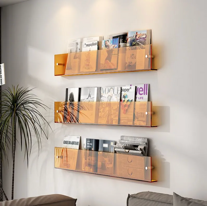 Acrylic Magazine Wall Mount