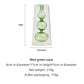 Colored Crystal Glass Vases